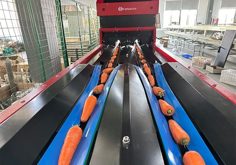 images/1711961951762sweet potato optical sorting machine.jpg